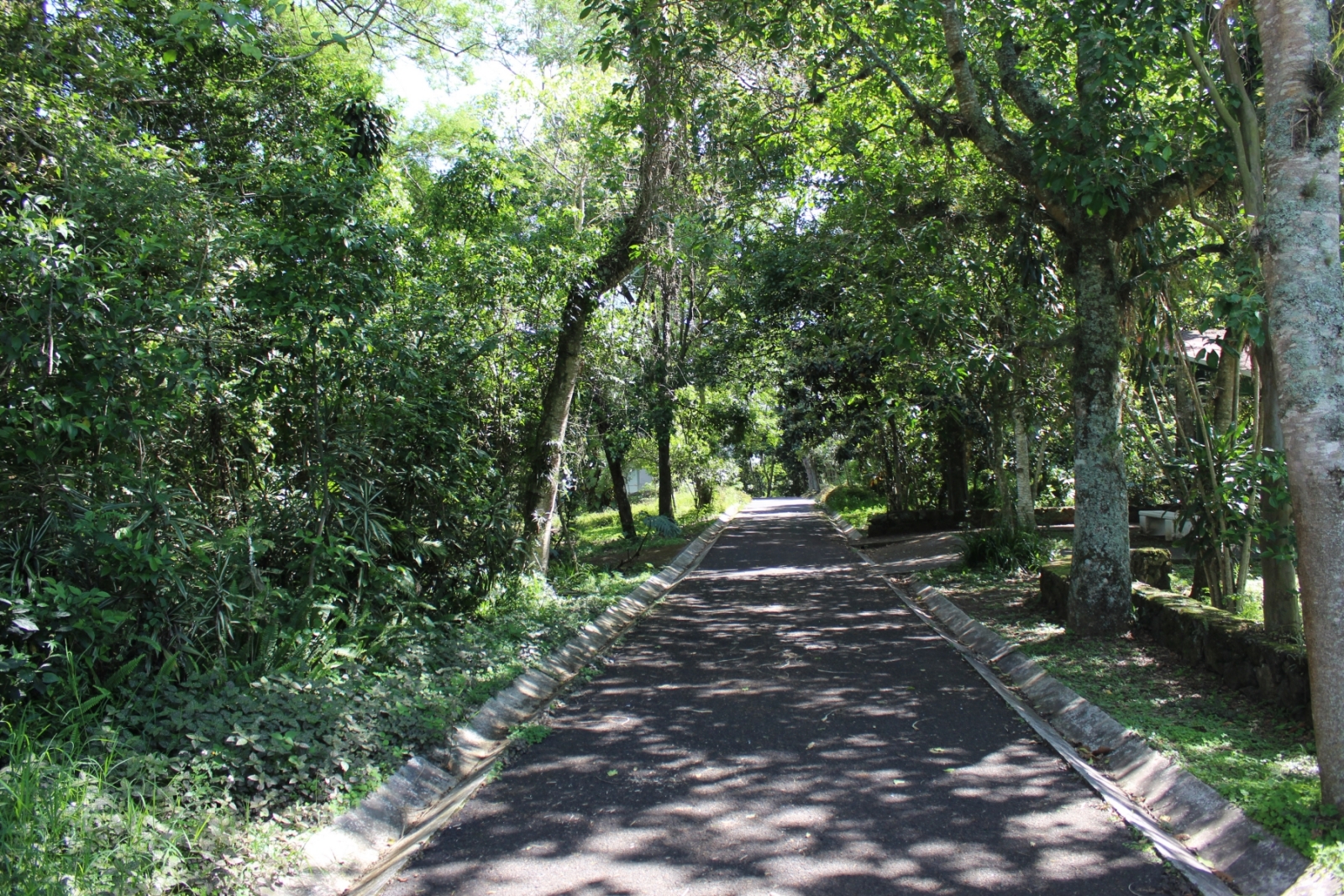 Parque Natura, oasis de Xalapa - Identidad Veracruz