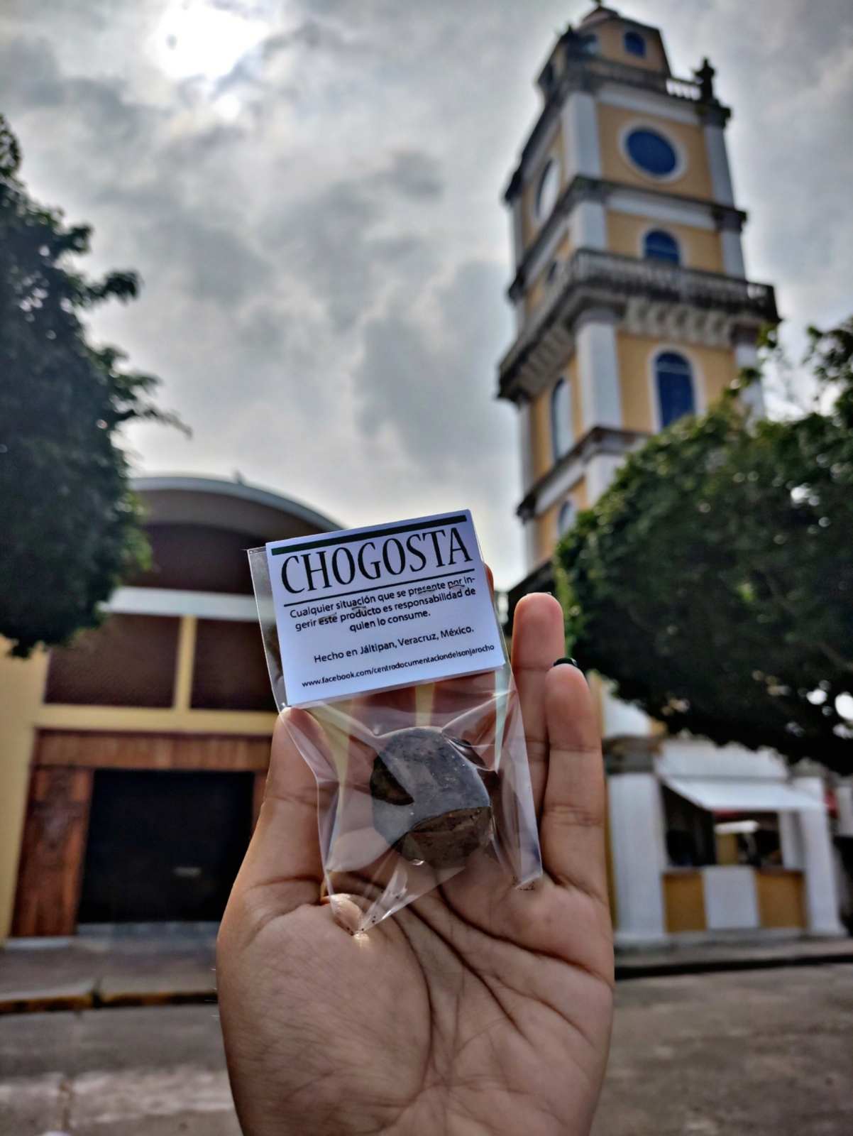 Chagosta, la tierra comestible de Veracruz en la alta cocina de